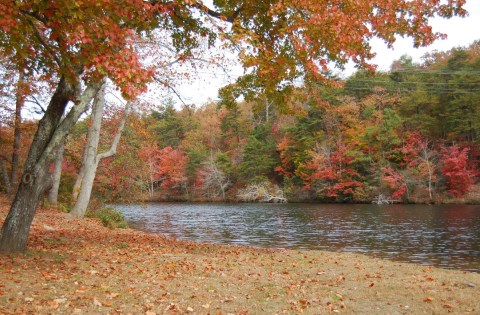 8 Reasons Why DeSoto State Park Is Alabama's Ideal Getaway Destination For Fall