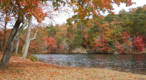 8 Reasons Why DeSoto State Park Is Alabama’s Ideal Getaway Destination For Fall