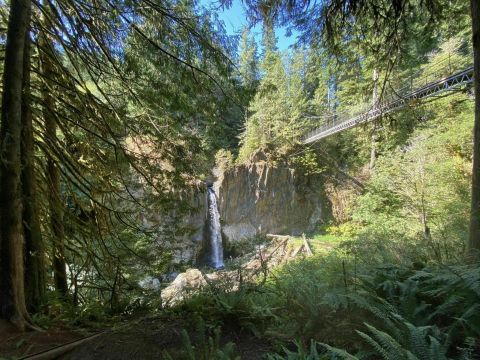 Drift Creek Falls Crosses A Suspension Bridge In Oregon And Leads To A Secret Waterfall