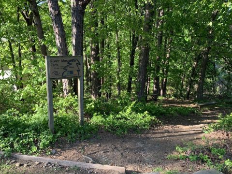 Take A Moment To Enjoy A Peaceful Stroll Around Arkansas' River Mountain Park Trail