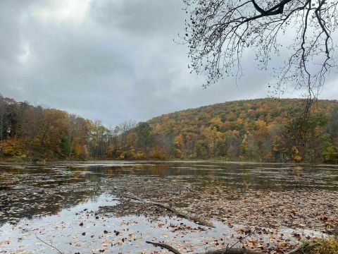 3 Fun Hikes In New Jersey Perfect For Celebrating Halloween