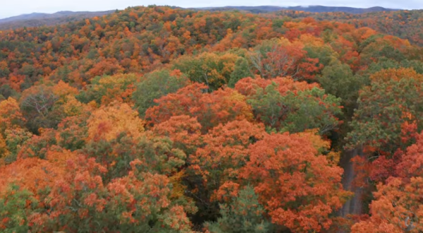 This Stunning Drone Footage Caught Some Of The Year’s Peak Fall Colors In West Virginia