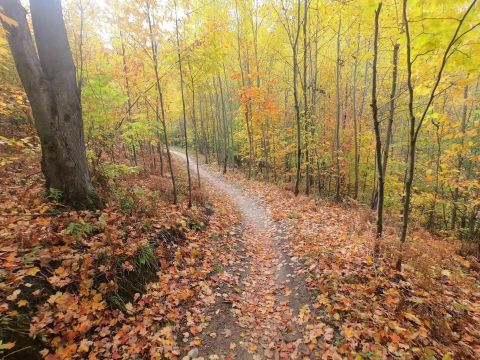 Every Nature Lover In Michigan Should Explore Glacial Hills Pathway And Natural Area