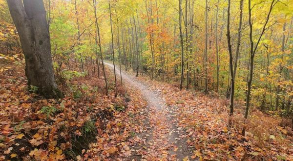Every Nature Lover In Michigan Should Explore Glacial Hills Pathway And Natural Area