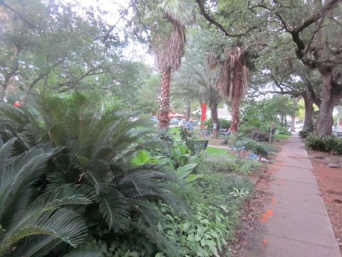 The Alcee Fortier Park In New Orleans Is So Well-Hidden, It Feels Like One Of The State's Best-Kept Secrets