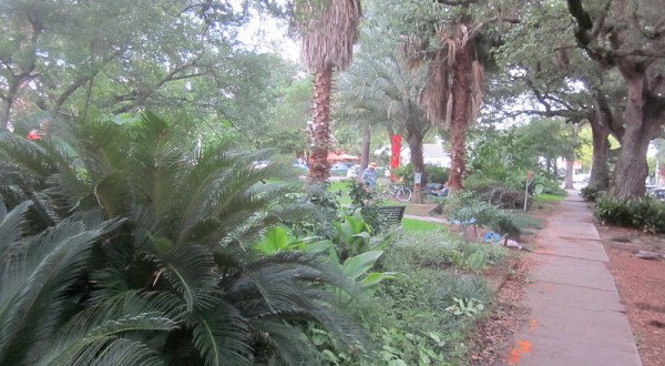 The Alcee Fortier Park In New Orleans Is So Well-Hidden, It Feels Like One Of The State’s Best-Kept Secrets