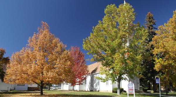 Visit More Than 60 Historic Landmarks When You Explore The Kit Carson Trail In Nevada