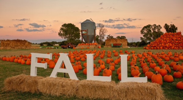 Lone Star Family Farm In Texas Has Endless Fall Fun For The Whole Family