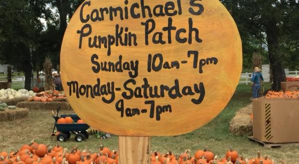 Celebrate Fall With Pumpkins And Wagon Rides At Carmichael’s Pumpkin Patch In Oklahoma
