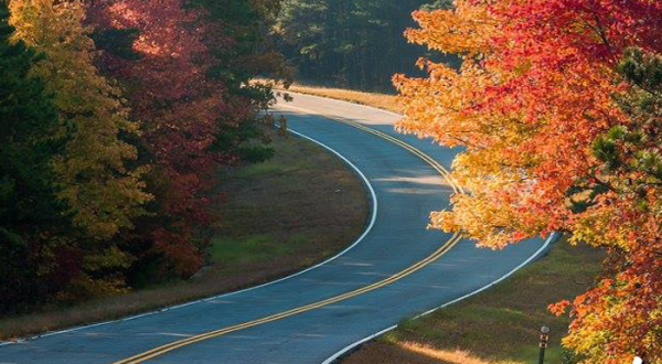There’s No Better Place To View Fall Foliage In Oklahoma Than Along The Talimena National Scenic Byway