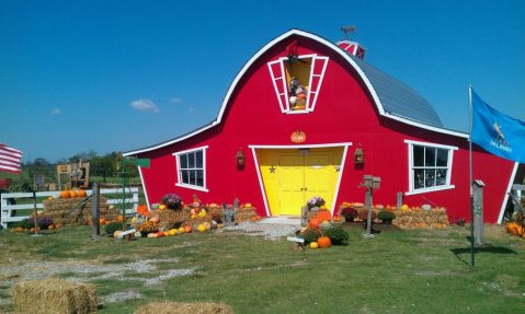 Spend The Day At Annabelle's Fun Farm And Enjoy The Magic Of Fall In Oklahoma