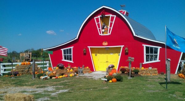 Spend The Day At Annabelle’s Fun Farm And Enjoy The Magic Of Fall In Oklahoma