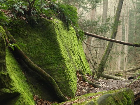 Hocking Hills State Park In Ohio Is So Well Hidden, It Feels Like One Of The State's Best-Kept Secrets