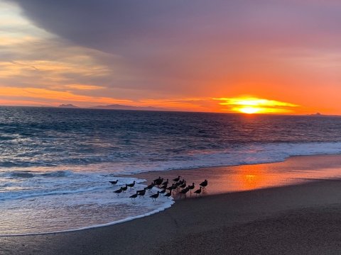 Point Mugu State Park Is A Scenic Outdoor Spot In Southern California That's A Nature Lover’s Dream Come True