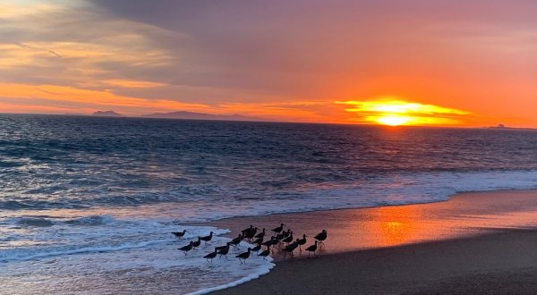 Point Mugu State Park Is A Scenic Outdoor Spot In Southern California That’s A Nature Lover’s Dream Come True