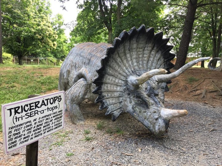Triceratops at Dinosaur Land