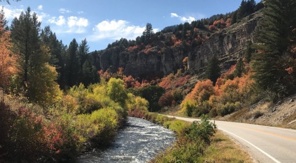 Spend An Autumn Day In Utah’s Scenic Logan Canyon This Season