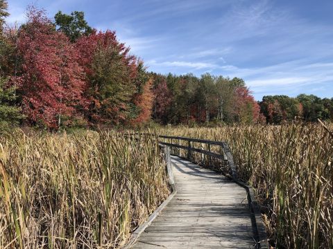 Proud Lake Recreation Area In Michigan Has Endless Boardwalks And You'll Want To Explore Them All