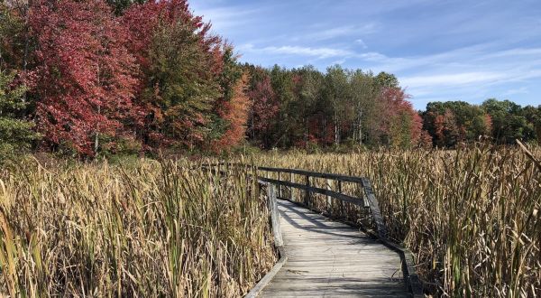 Proud Lake Recreation Area In Michigan Has Endless Boardwalks And You’ll Want To Explore Them All