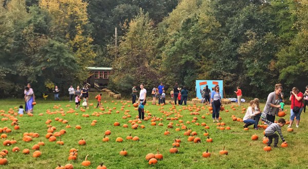 The Pumpkin Patch Train Ride At The Connecticut Trolley Museum Is Filled With Fun For The Whole Family