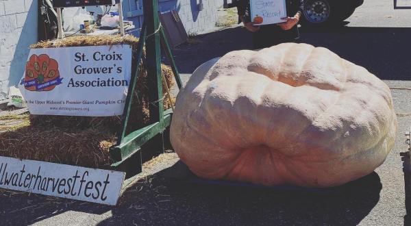 A Nearly 2,000-Pound Pumpkin Recently Broke Minnesota’s Largest Pumpkin Record At Stillwater Harvest Fest