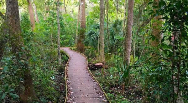 Enjoy 7 Different Hiking Trails When You Visit Jacksonville Arboretum & Gardens In Florida