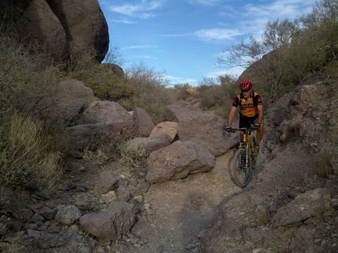 Arizona's Starr Pass Trail Has Been Ranked One Of The Best Bike Paths In The Southwest