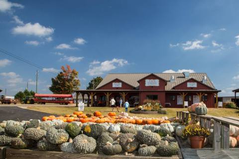 Tate Farms In Alabama Is A Classic Fall Tradition