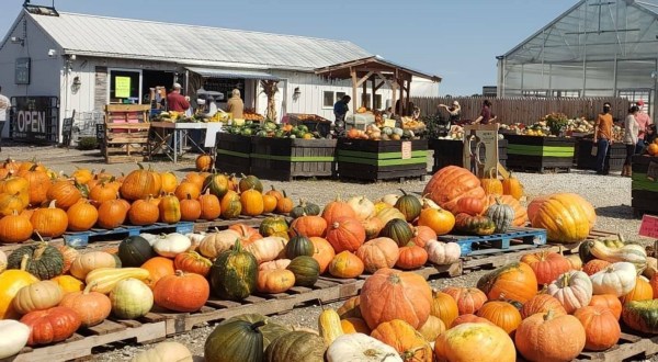 This Underrated Farm In Maryland Is Full Of Family Fun And Pumpkins Galore