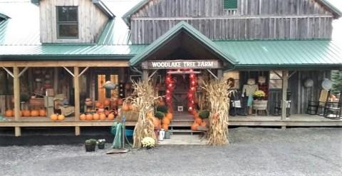 Head To Woodlake Tree Farm In Maryland For Your Autumn, Winter, And Home Decor Needs