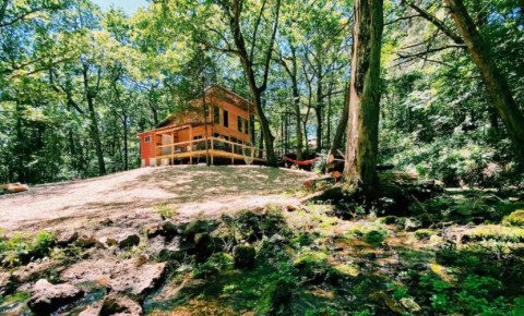 The Views From This Rustic Log Cabin In Missouri Are The Definition Of Stunning