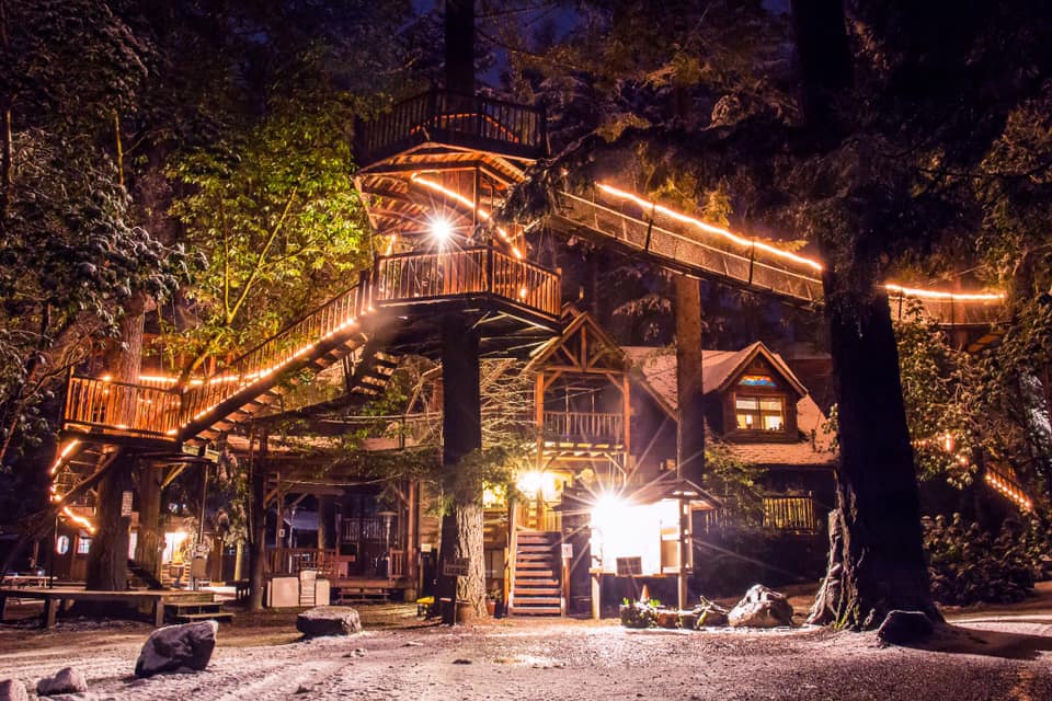 Visit Out 'N' About Treehouse Treesort In Cave Junction, Oregon
