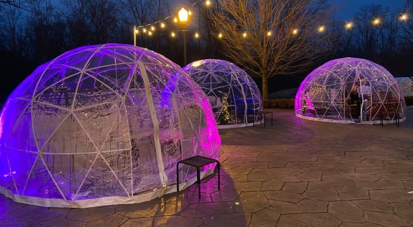Dine Inside A Private Igloo With Your Very Own Firepit At The Blue Heron In Ohio