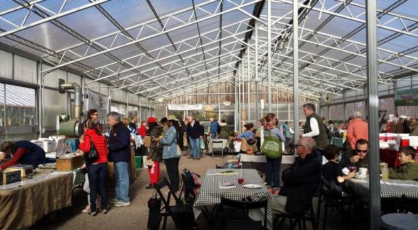 Nestled Inside An Open-Air Greenhouse In Connecticut, The Westport Winter Farmers’ Market Is A Must-Visit