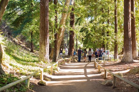 Santa Barbara Botanic Garden Is A Fascinating Spot in Southern California That's Straight Out Of A Fairy Tale