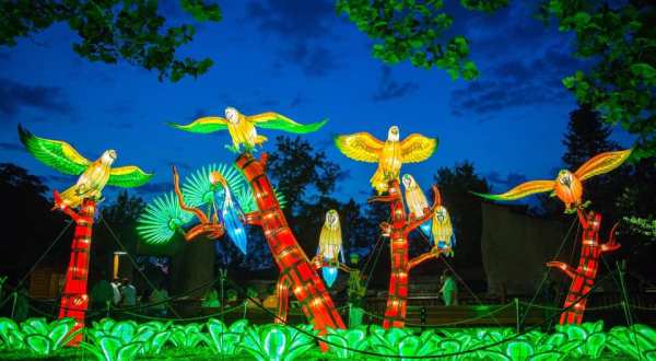 WildLanterns Is The Brand New Display At Woodland Park Zoo In Washington, And It’s Illuminating