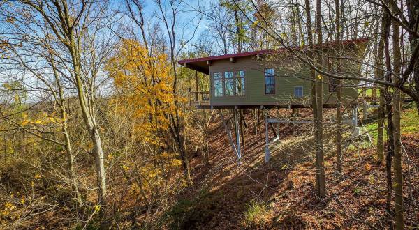 There’s A Treehouse Village In West Virginia Where You Can Spend The Night