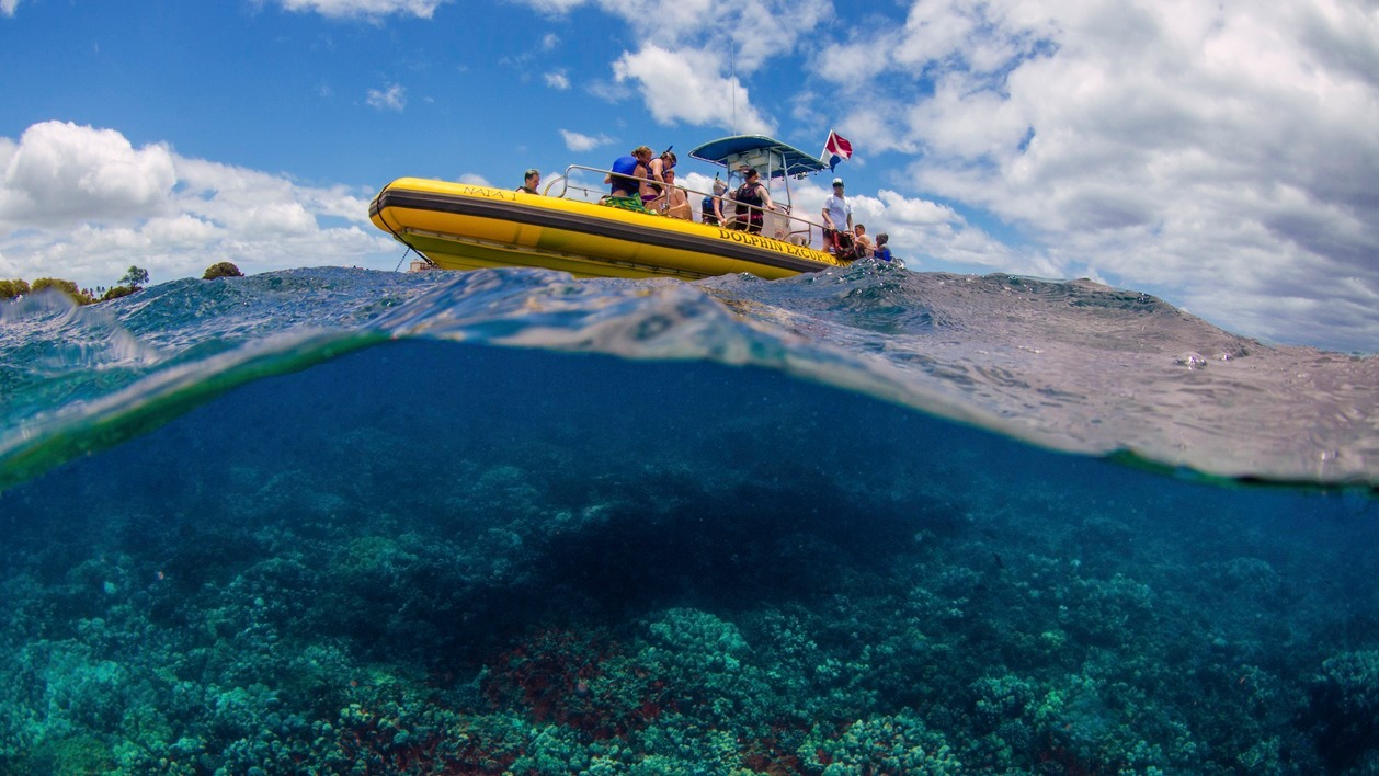 Swim With Sea Life When You Embark On A Snorkel Tour With