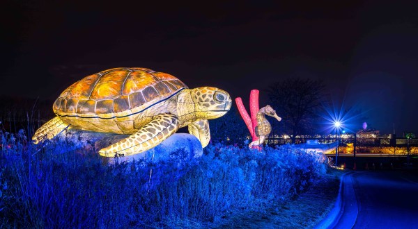 Larger-Than-Life Animals Are All Lit Up At Nature Illuminated, The Minnesota Zoo’s Drive-Thru Light Exhibit