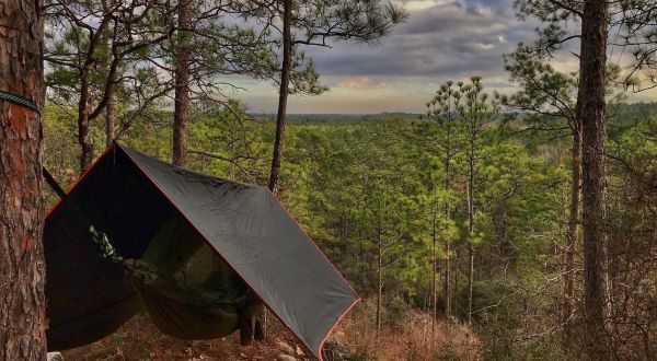 Spend A Weekend Under The Stars Camping In The Kisatchie National Forest In Louisiana