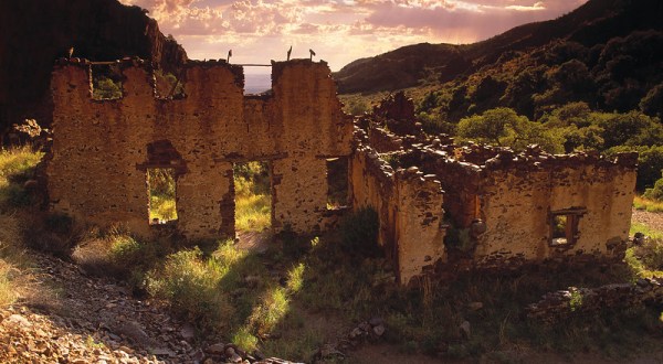 Nature Is Reclaiming This One Abandoned New Mexico Spot And It’s Actually Amazing