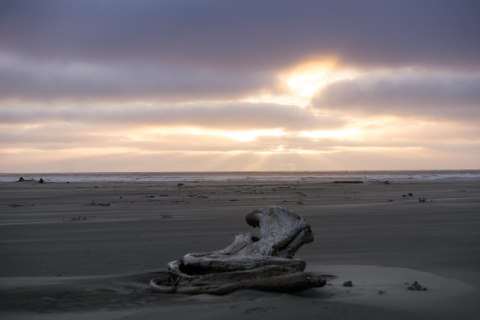 You'll Need The Whole Weekend To Explore All 581 Acres Of Grayland Beach State Park In Washington