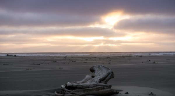 You’ll Need The Whole Weekend To Explore All 581 Acres Of Grayland Beach State Park In Washington
