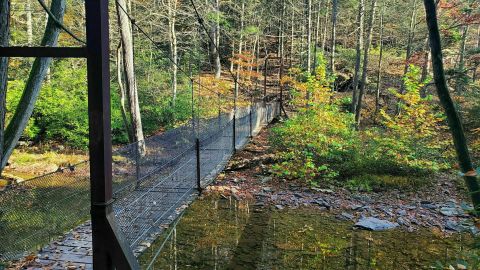 Walk Across A Suspension Bridge On Abbot Run Trail In Pennsylvania