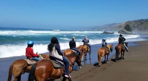 Soak In Views Of Surf And Sand On This Guided Horseback Ride On Manchester Beach In Northern California