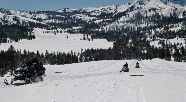 The 2-Hour Scenic Snowmobile Tour At Hope Valley In Northern California Is Perfect For First-Time Riders