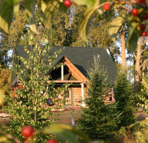 Charmingly Rustic And Eco-Friendly, This Wisconsin Cabin Is Unlike Any Other