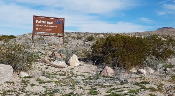 You’ll Need The Whole Weekend To Explore All 5,380 Acres Of Pahranagat National Wildlife Refuge In Nevada