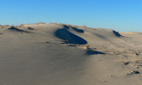 The Rolling Dunes Of Cape Henlopen State Park Are A Delaware Natural Wonder