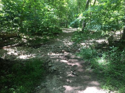 Take An Easy Loop Trail Past Some Of The Prettiest Scenery In Missouri On Eagle Valley Loop Trail